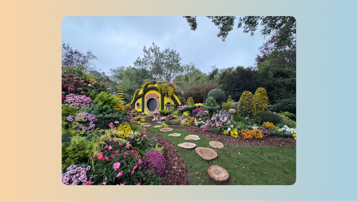 image-20251125172226960